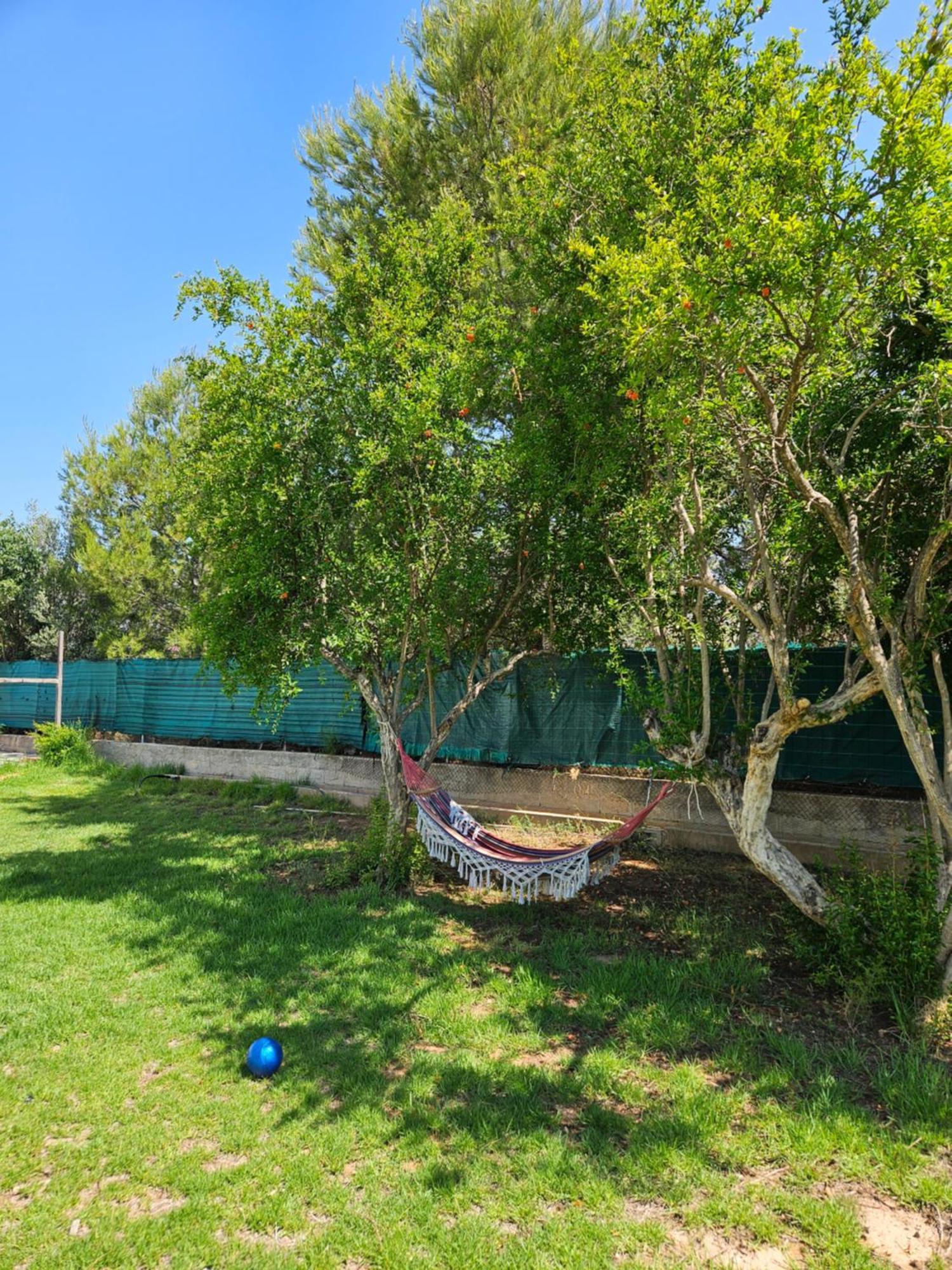 Large Yard, Large Lawn, Independent Villa Lliria Kültér fotó